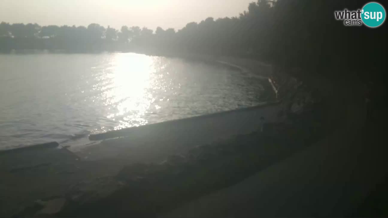Novigrad – Plaža Karpinjan