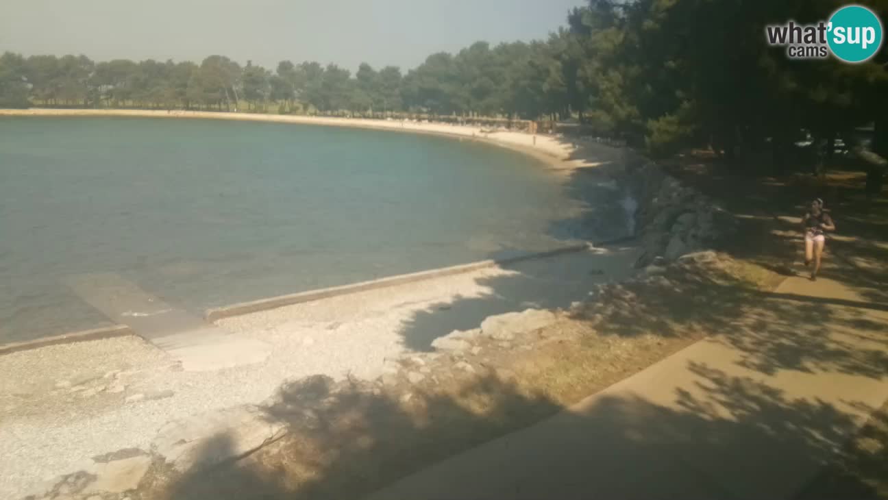 Novigrad – Plaža Karpinjan