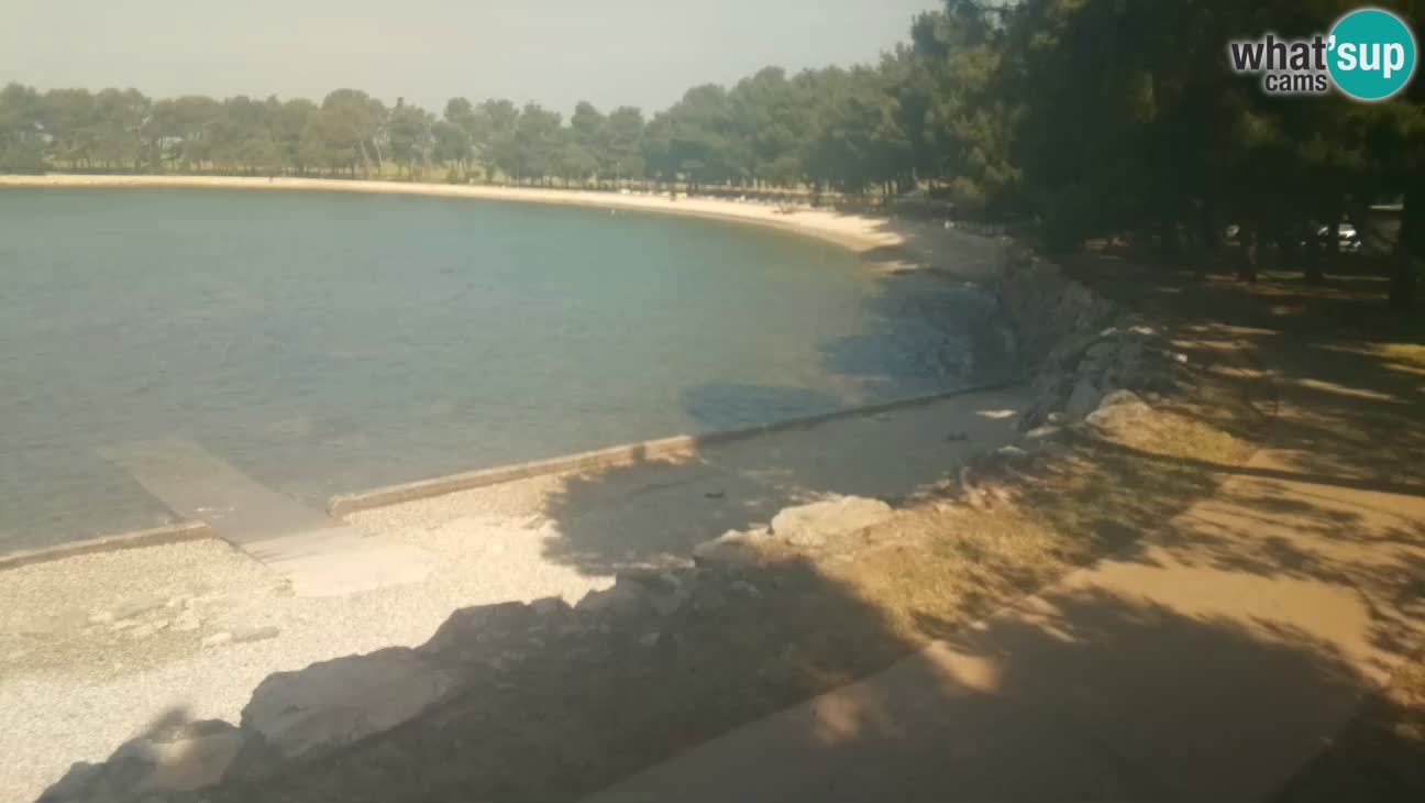 Novigrad – Strand Karpinjan webcam