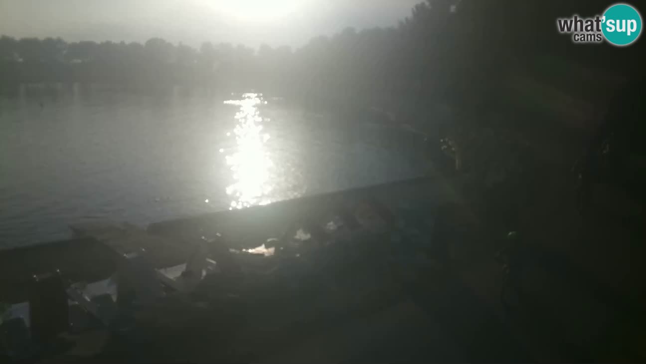Novigrad – Strand Karpinjan webcam