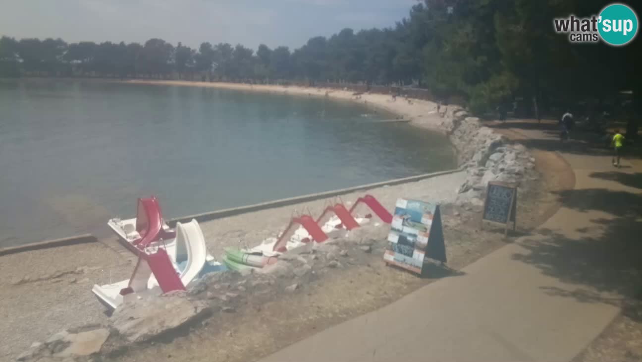Novigrad live cam – Karpinjan beach