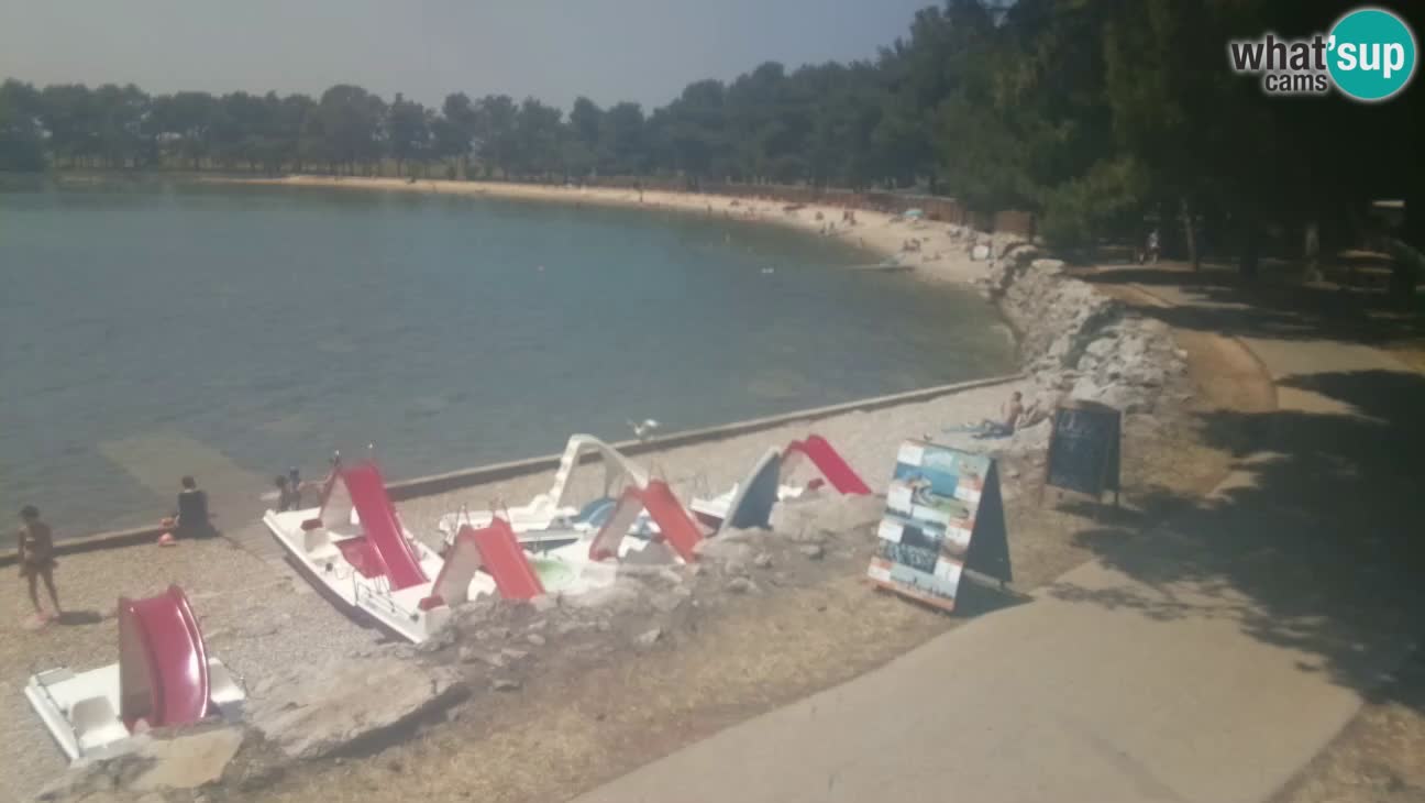 Novigrad live cam – Karpinjan beach