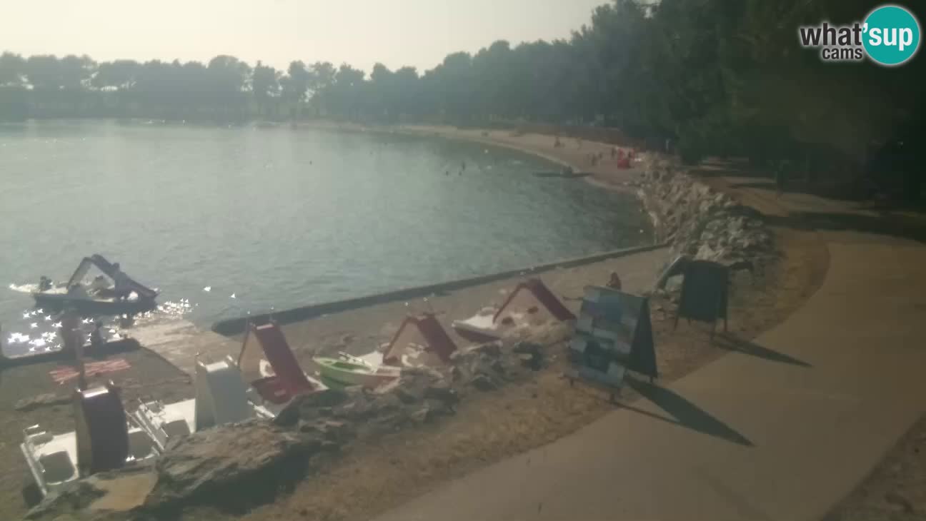 Novigrad live cam – Karpinjan beach