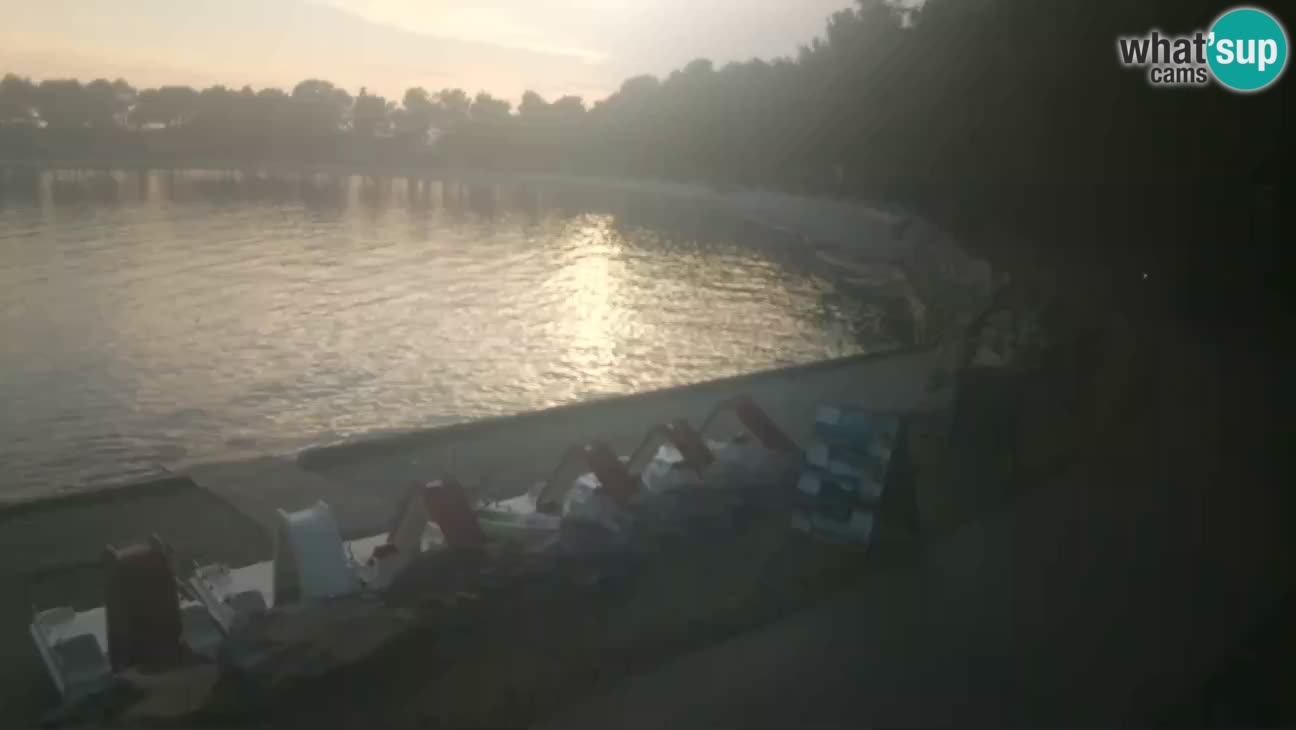 Novigrad live cam – Karpinjan beach