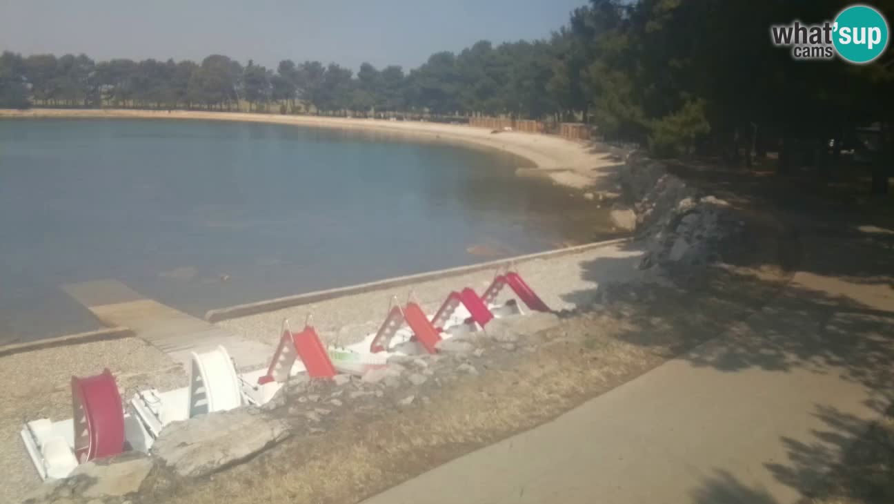 Novigrad – Strand Karpinjan webcam
