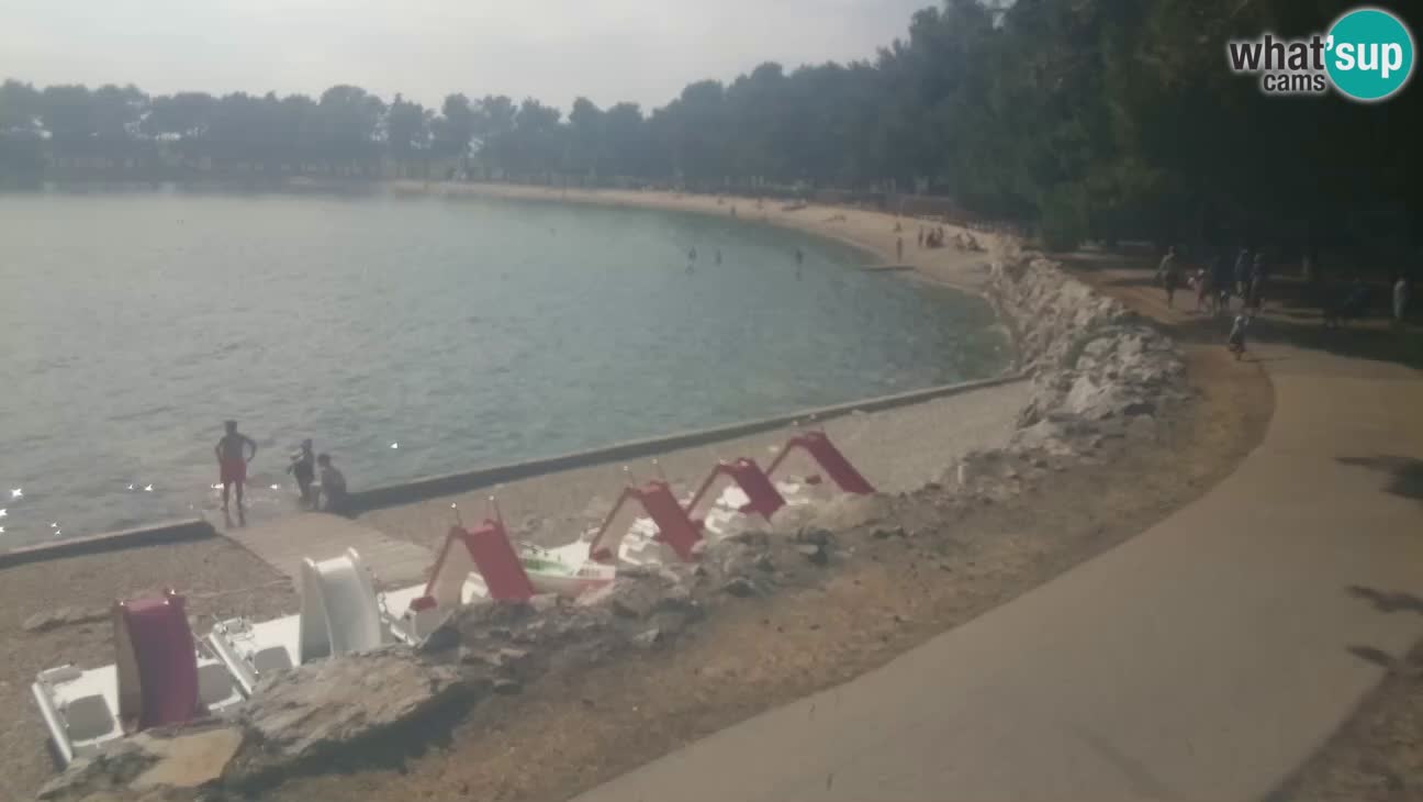 Novigrad live cam – Karpinjan beach