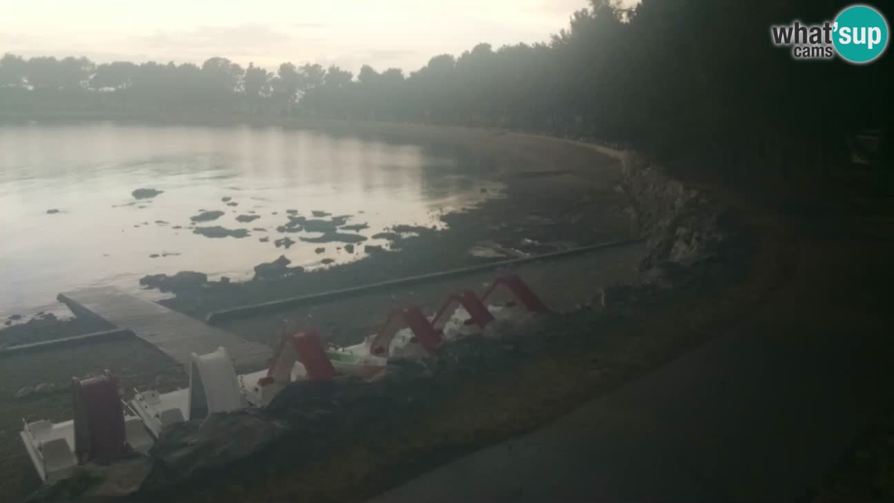 Novigrad – Strand Karpinjan webcam