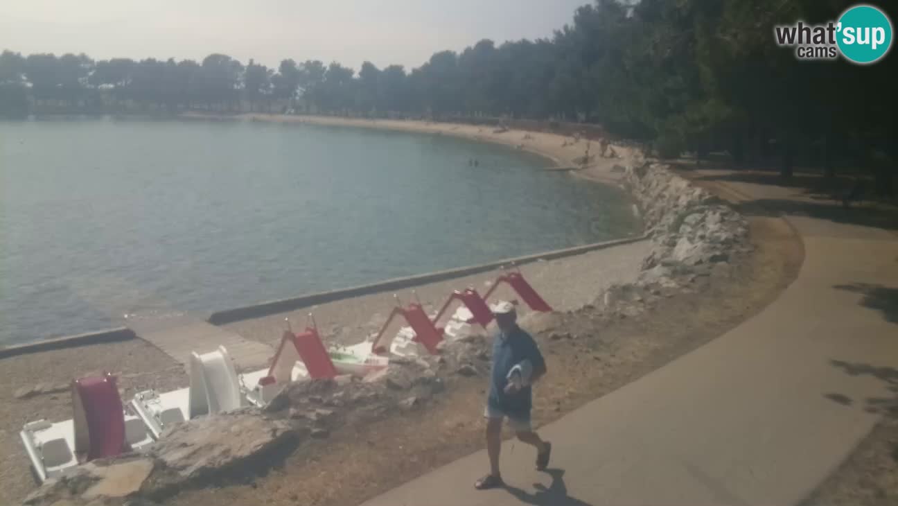 Novigrad – Playa Karpinjan