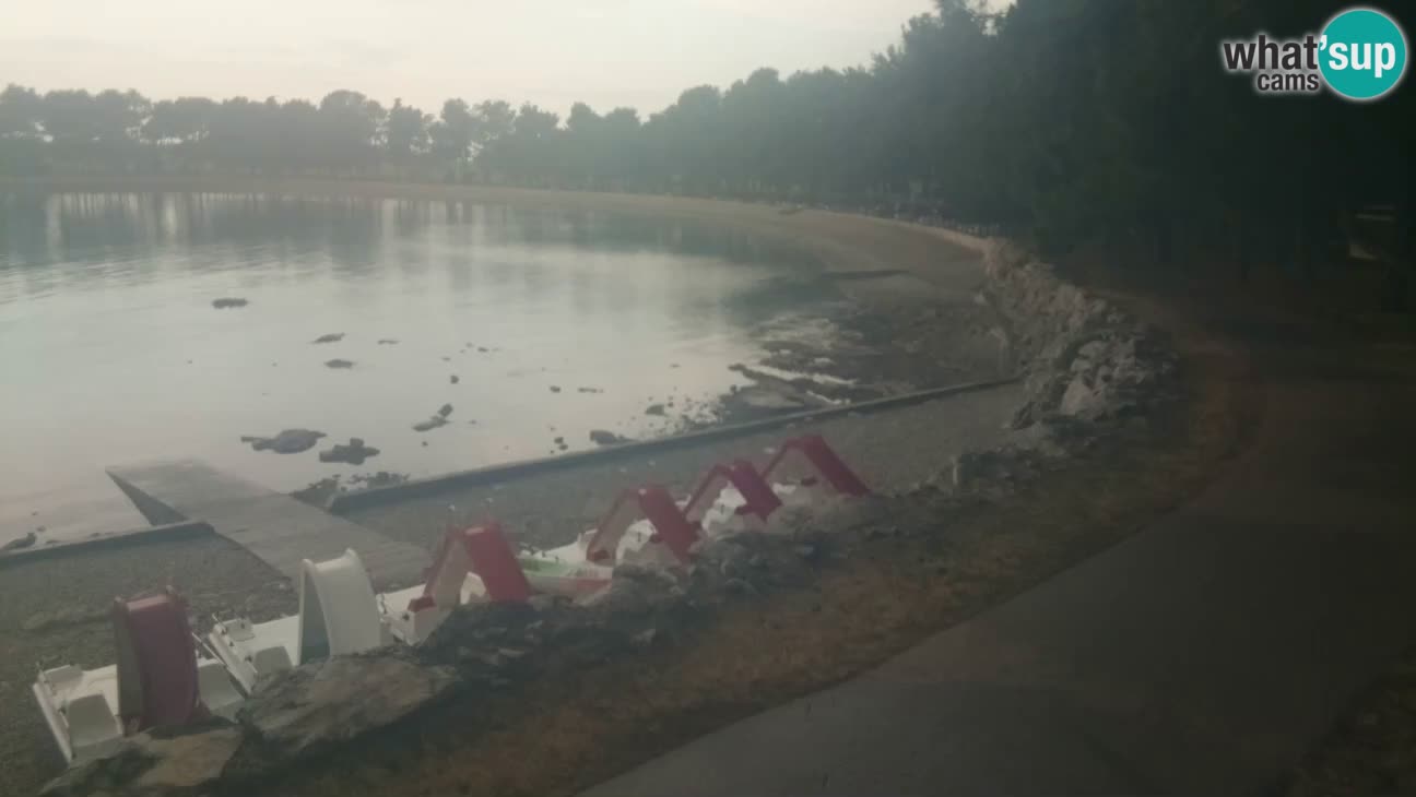 Novigrad – Playa Karpinjan