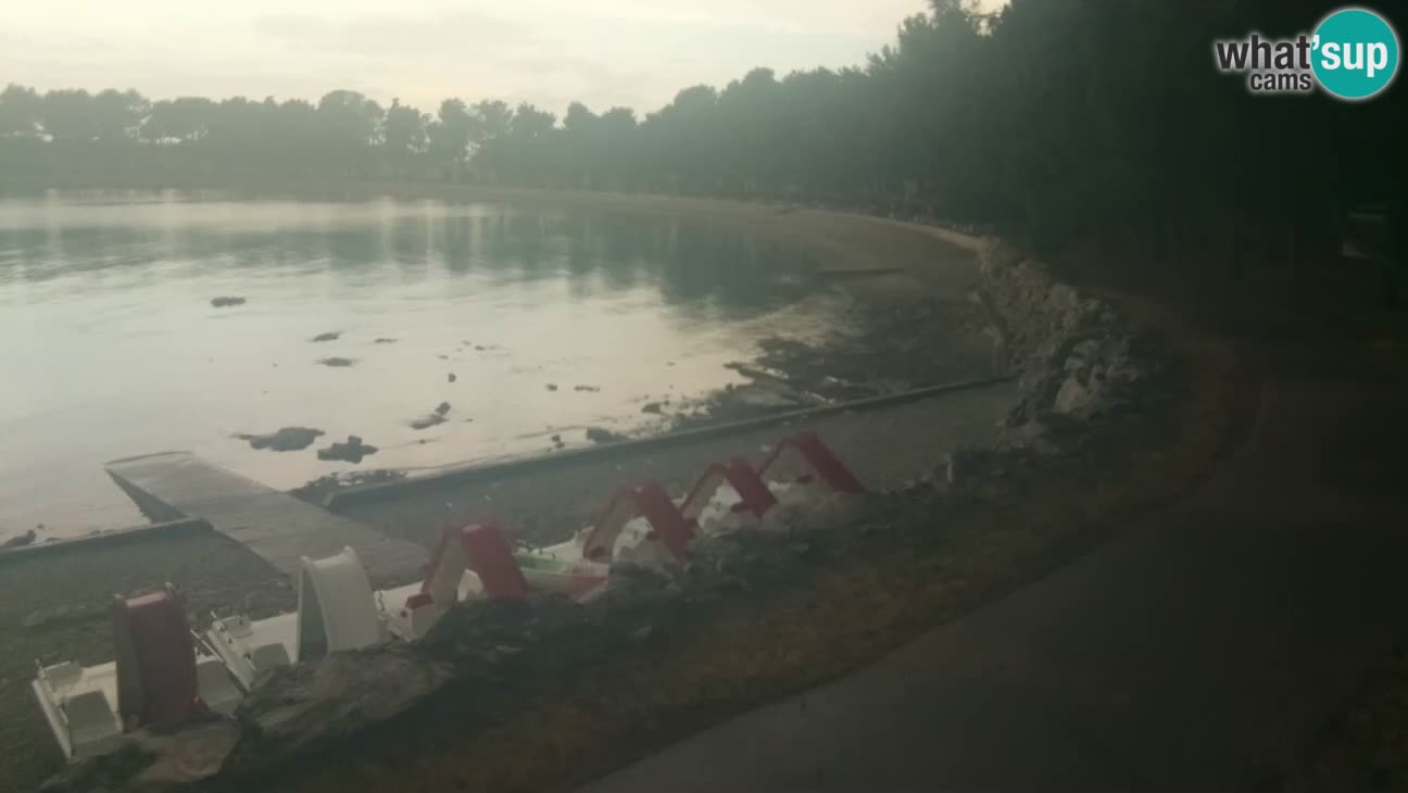 Novigrad – Strand Karpinjan webcam