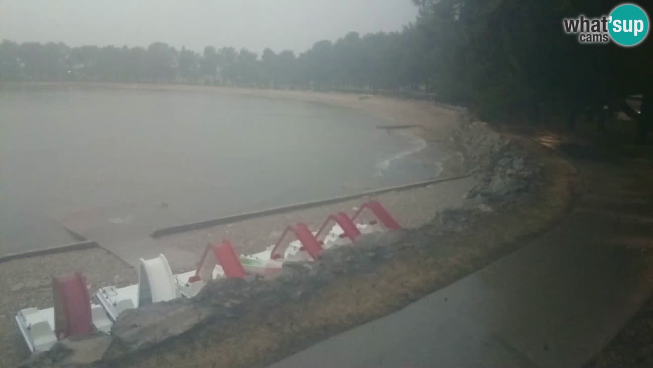 Novigrad – Playa Karpinjan