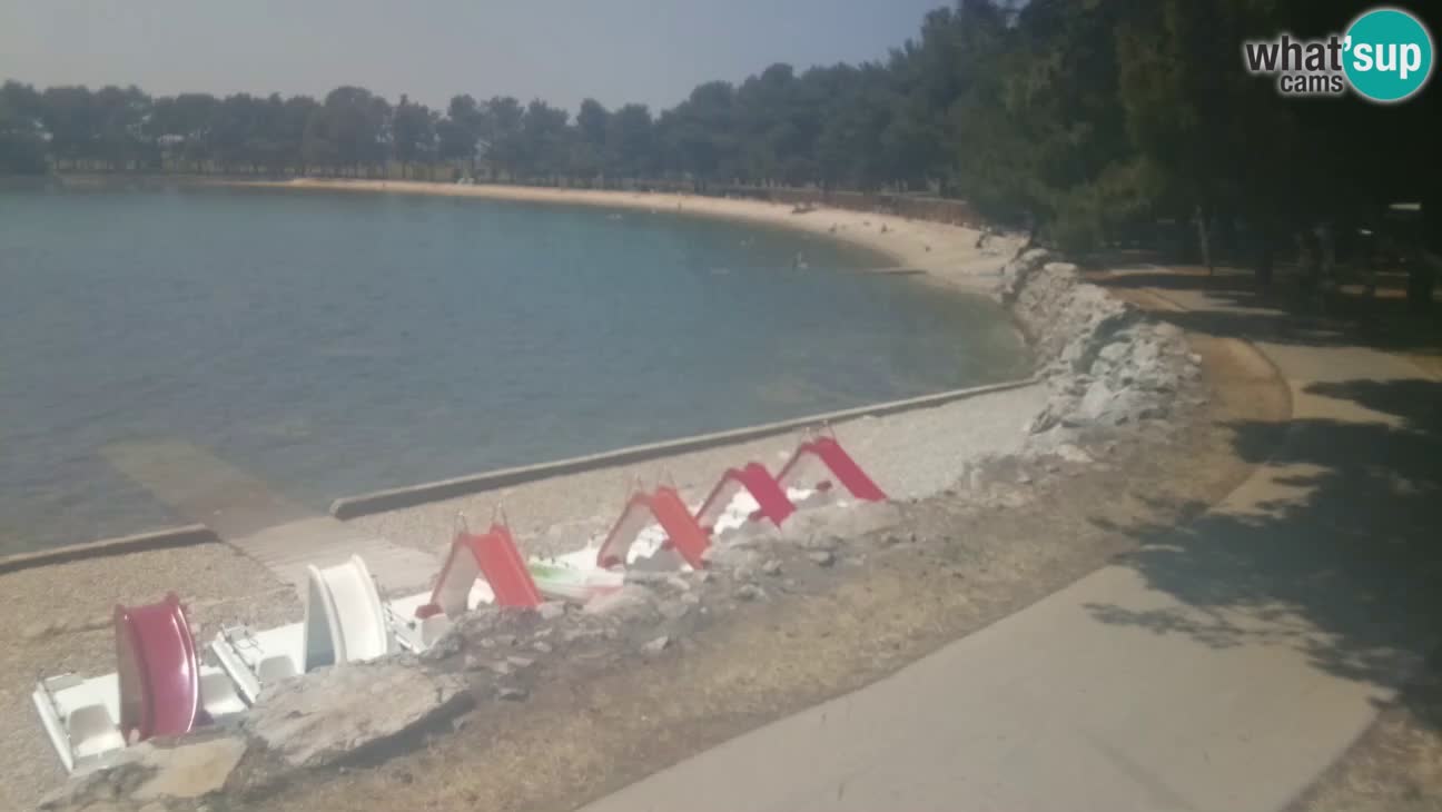 Novigrad – Plage Karpinjan