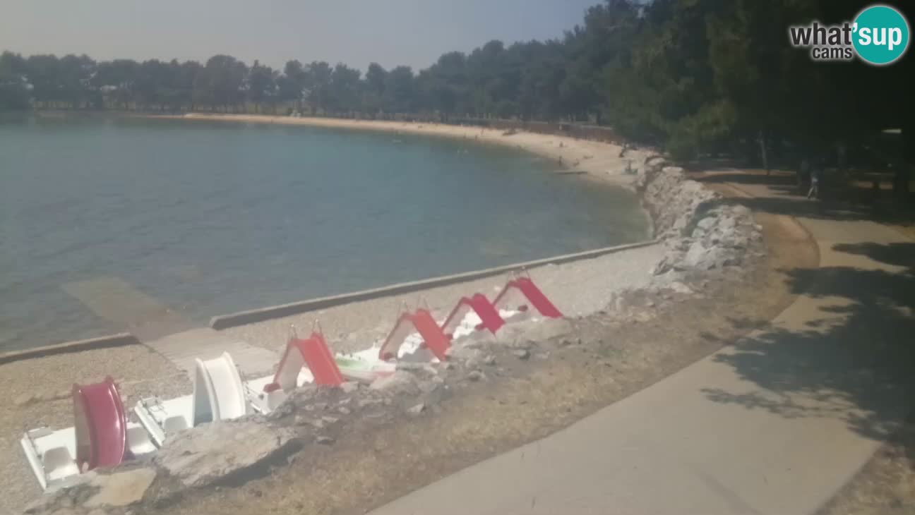 Novigrad – Plage Karpinjan