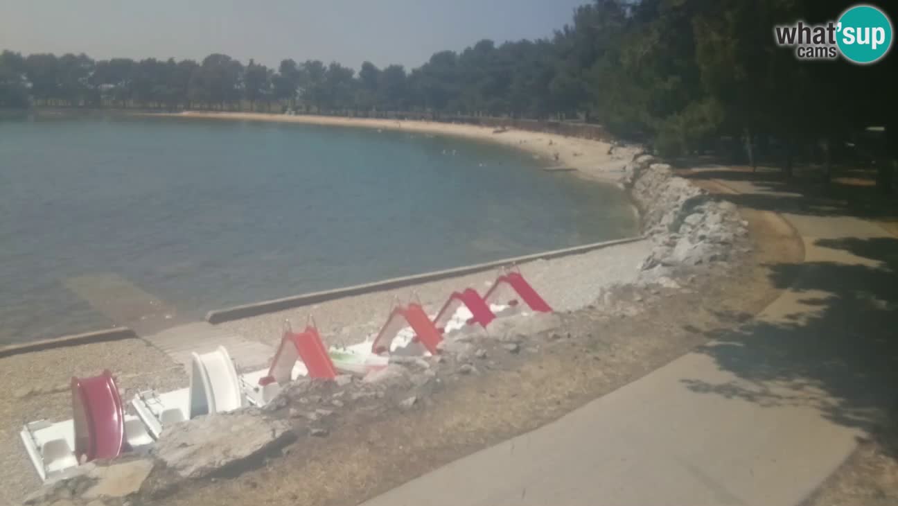 Novigrad – Playa Karpinjan