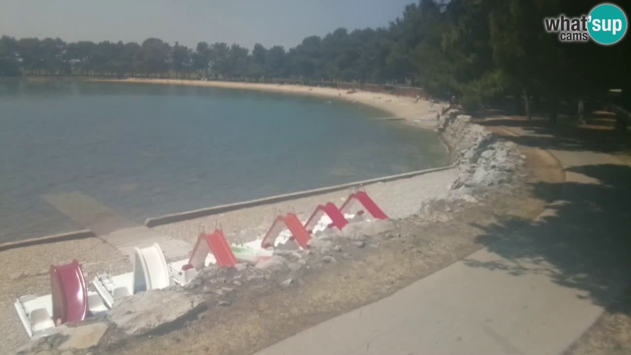 Novigrad – Playa Karpinjan