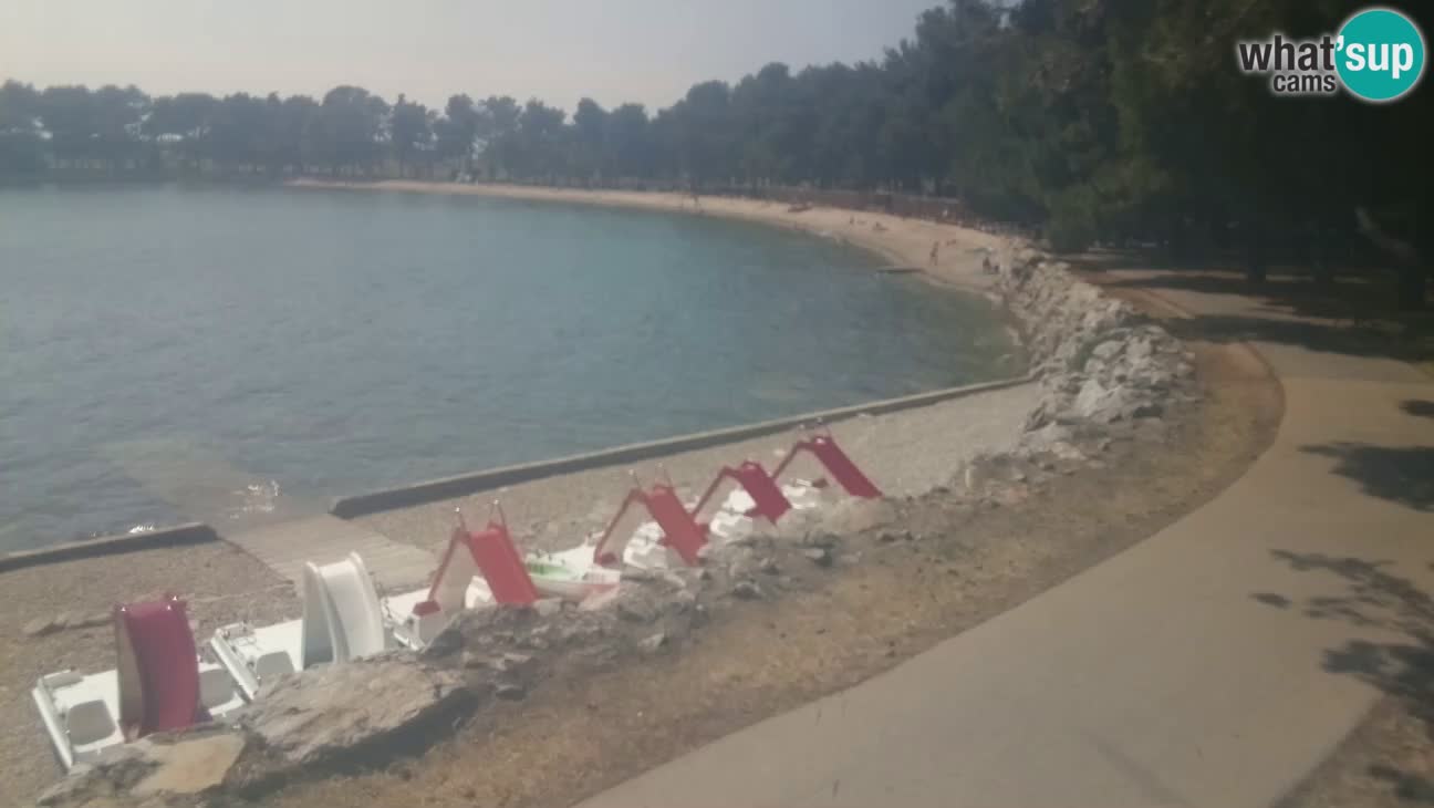 Novigrad – Strand Karpinjan webcam