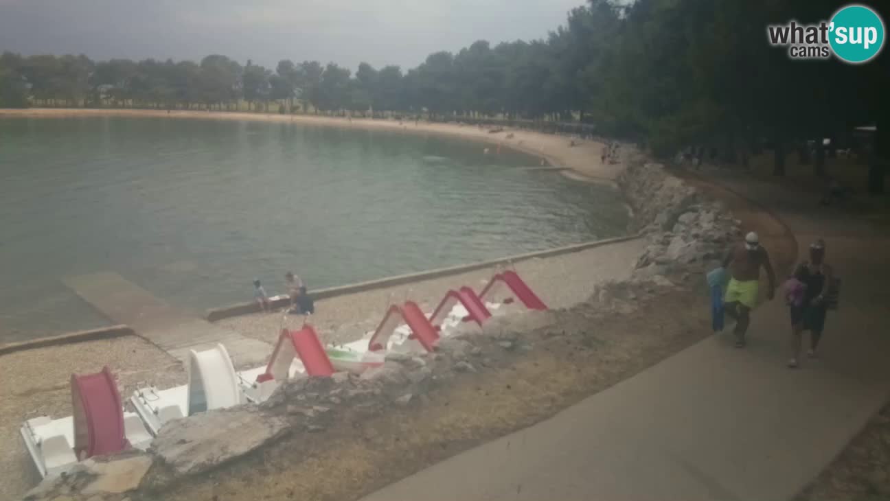 Novigrad – Strand Karpinjan webcam