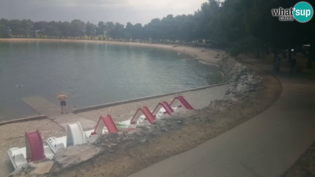 Novigrad live cam – Karpinjan beach