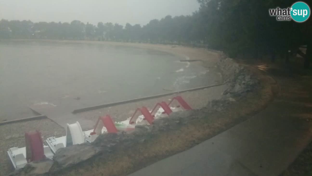 Novigrad – Strand Karpinjan webcam