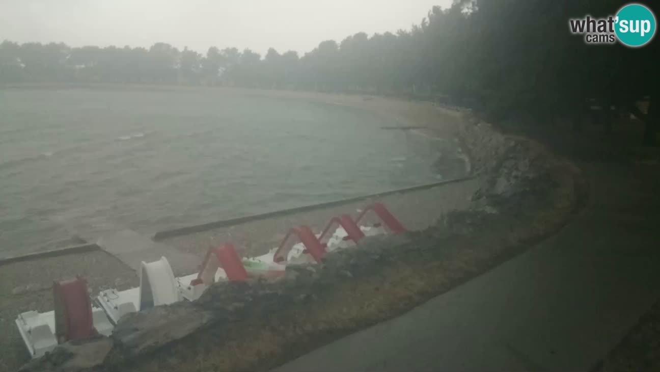 Novigrad – Plaža Karpinjan