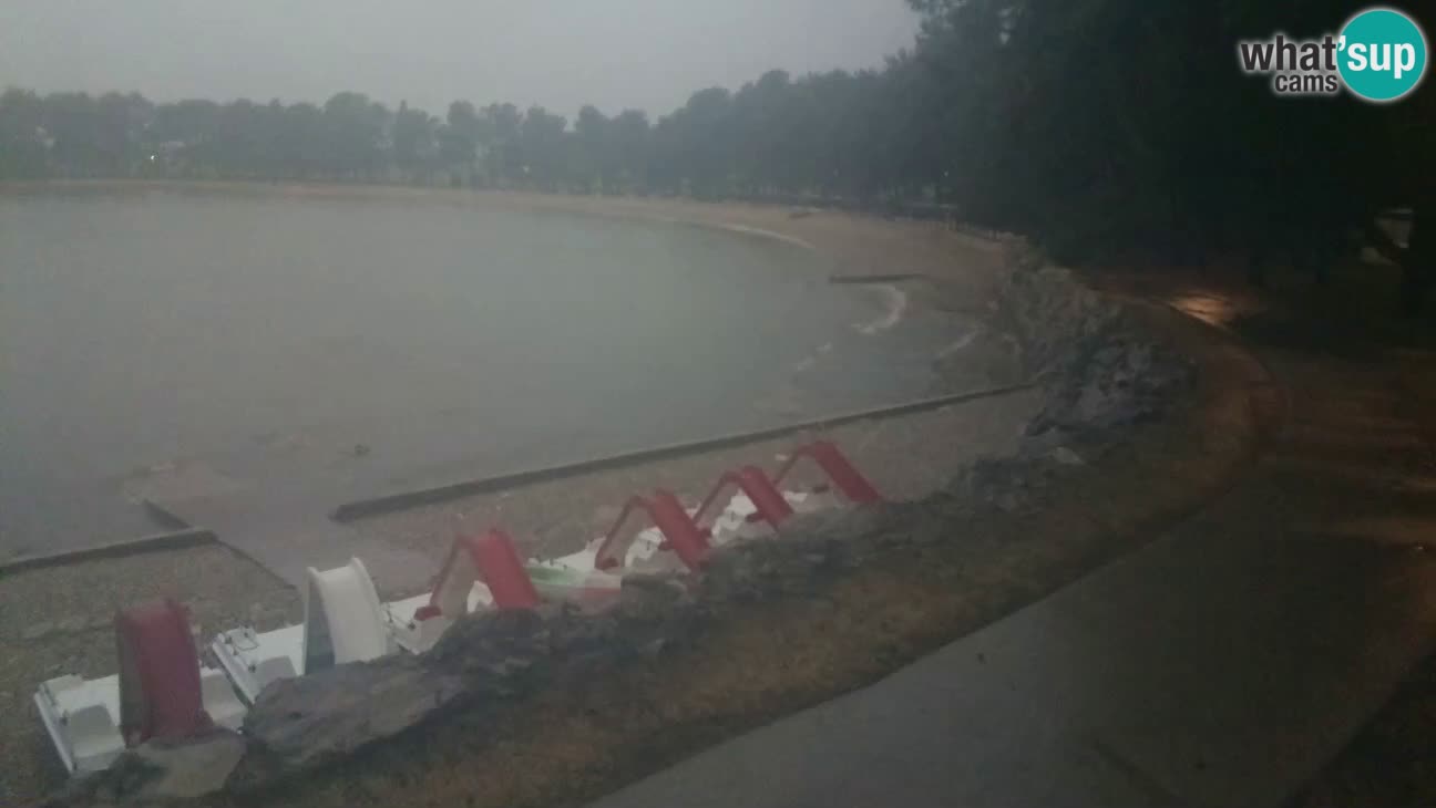 Novigrad live cam – Karpinjan beach