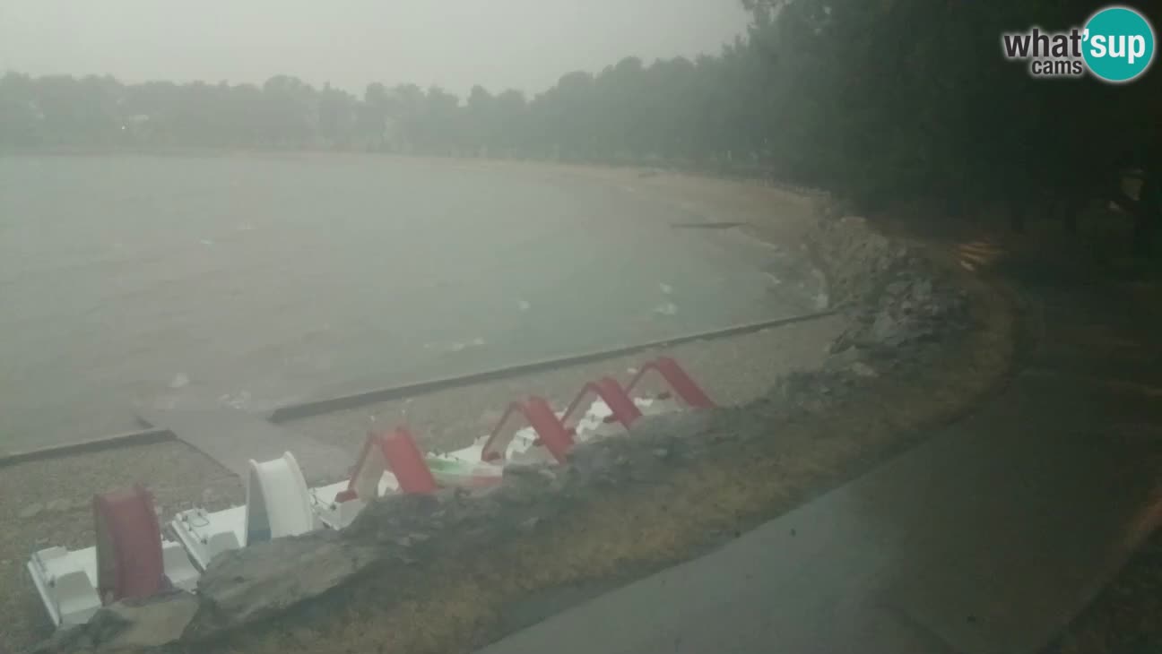 Novigrad – Plaža Karpinjan