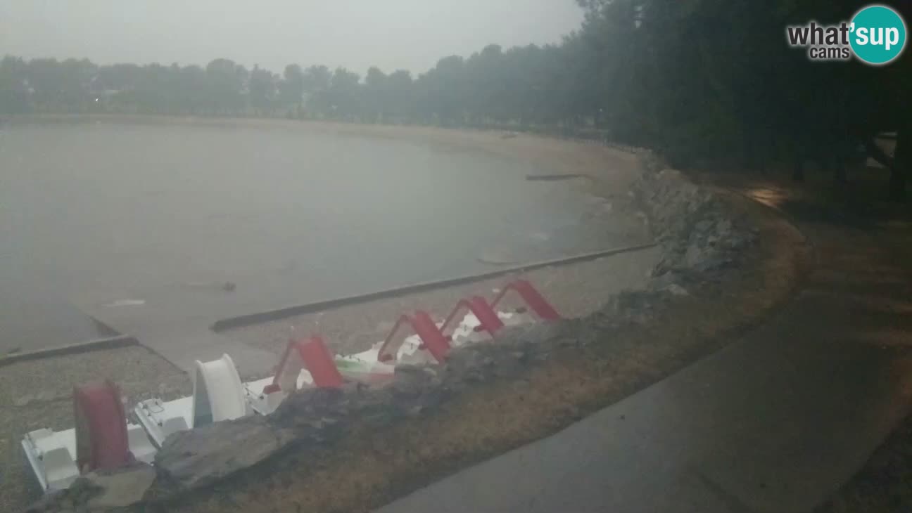 Novigrad – Strand Karpinjan webcam