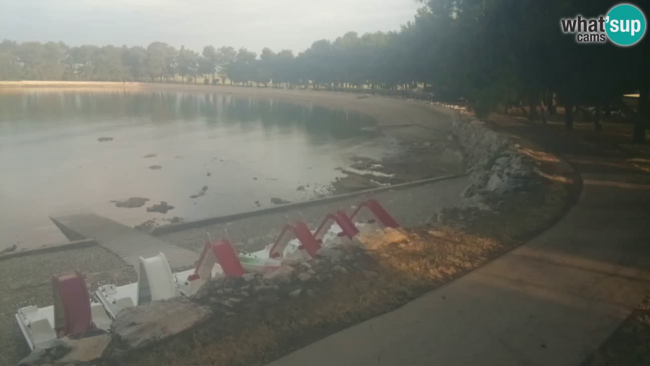 Novigrad – Strand Karpinjan webcam