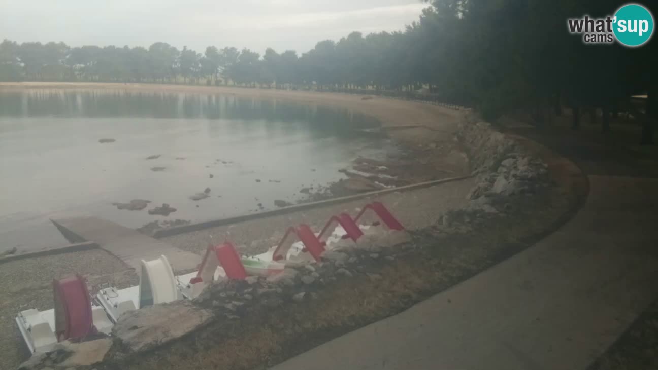 Novigrad live cam – Karpinjan beach