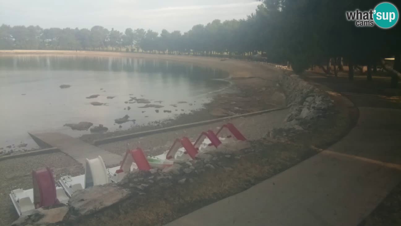 Novigrad live cam – Karpinjan beach