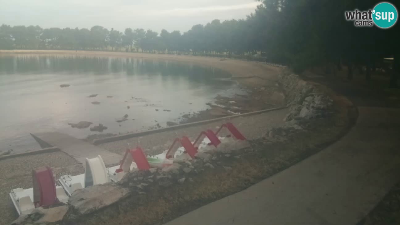 Novigrad live cam – Karpinjan beach