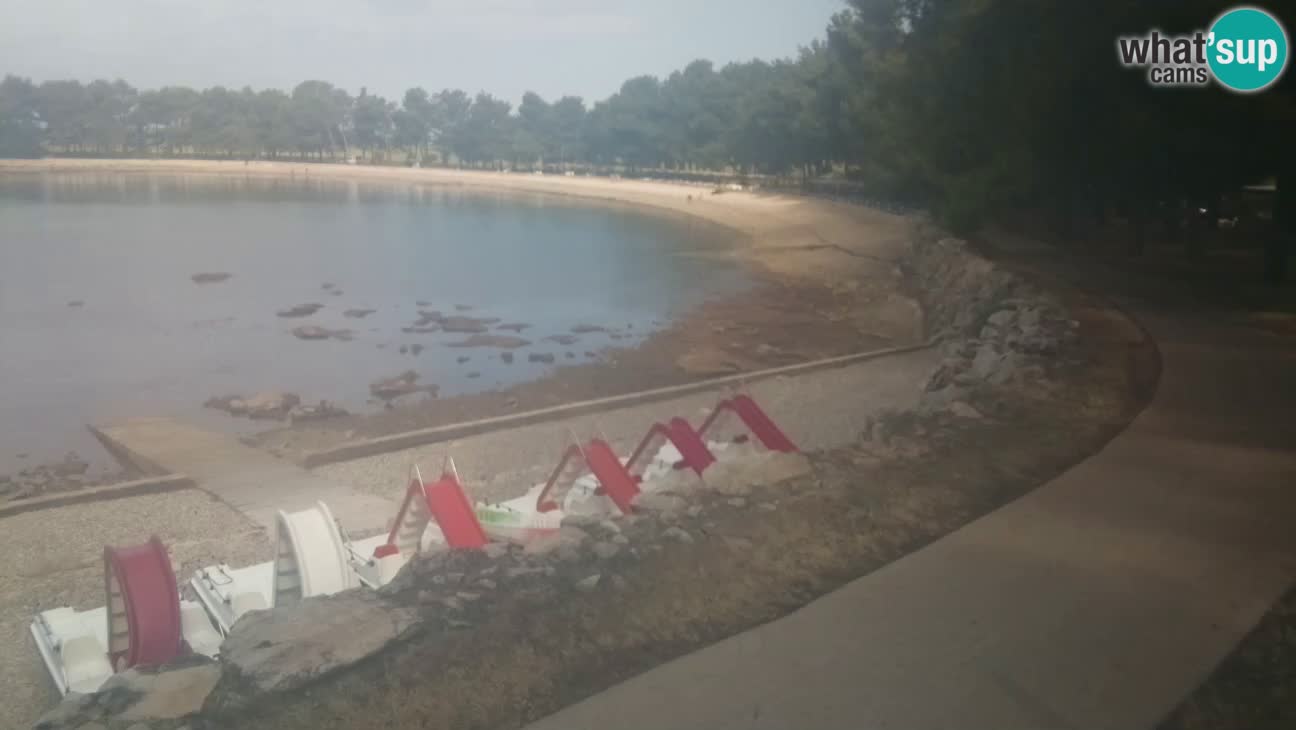 Novigrad live cam – Karpinjan beach