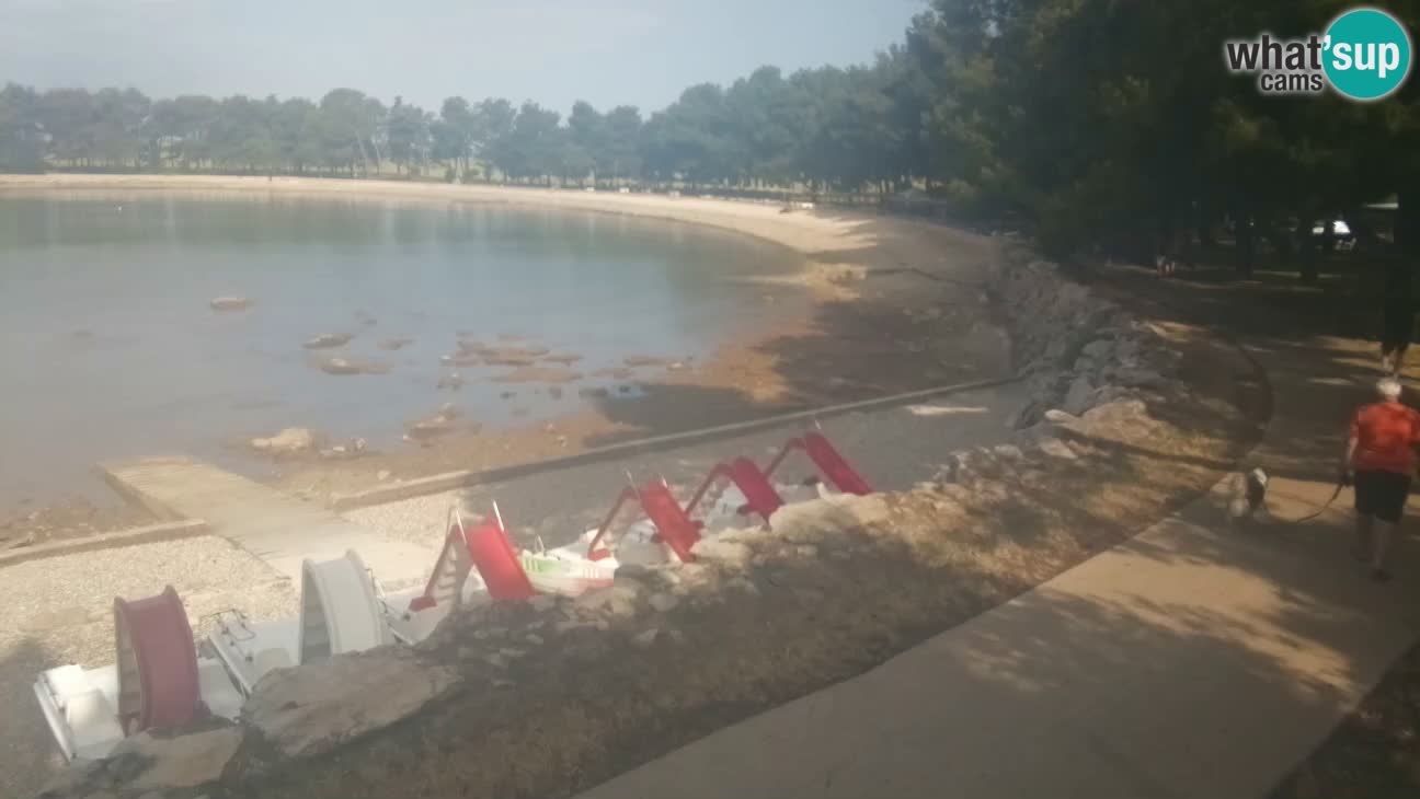 Novigrad live cam – Karpinjan beach