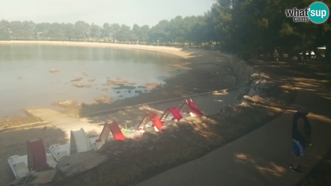 Novigrad – Playa Karpinjan