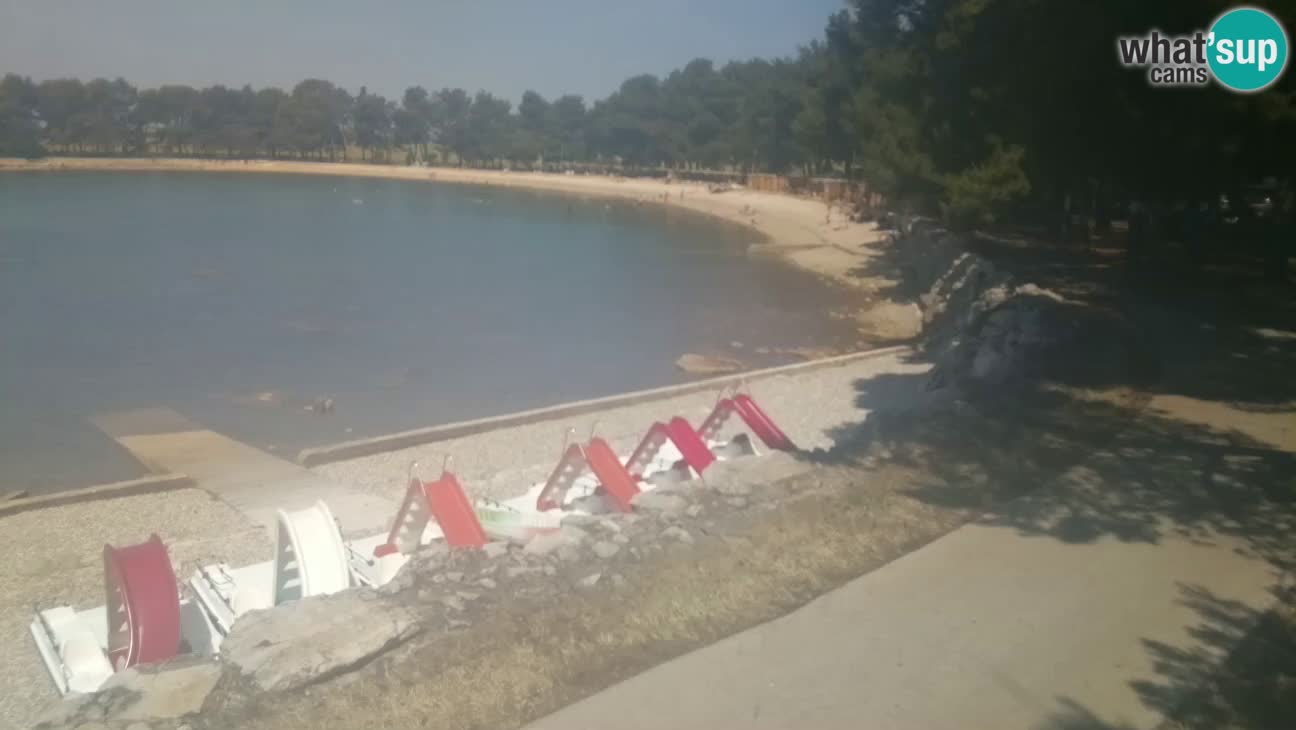 Novigrad – Strand Karpinjan webcam