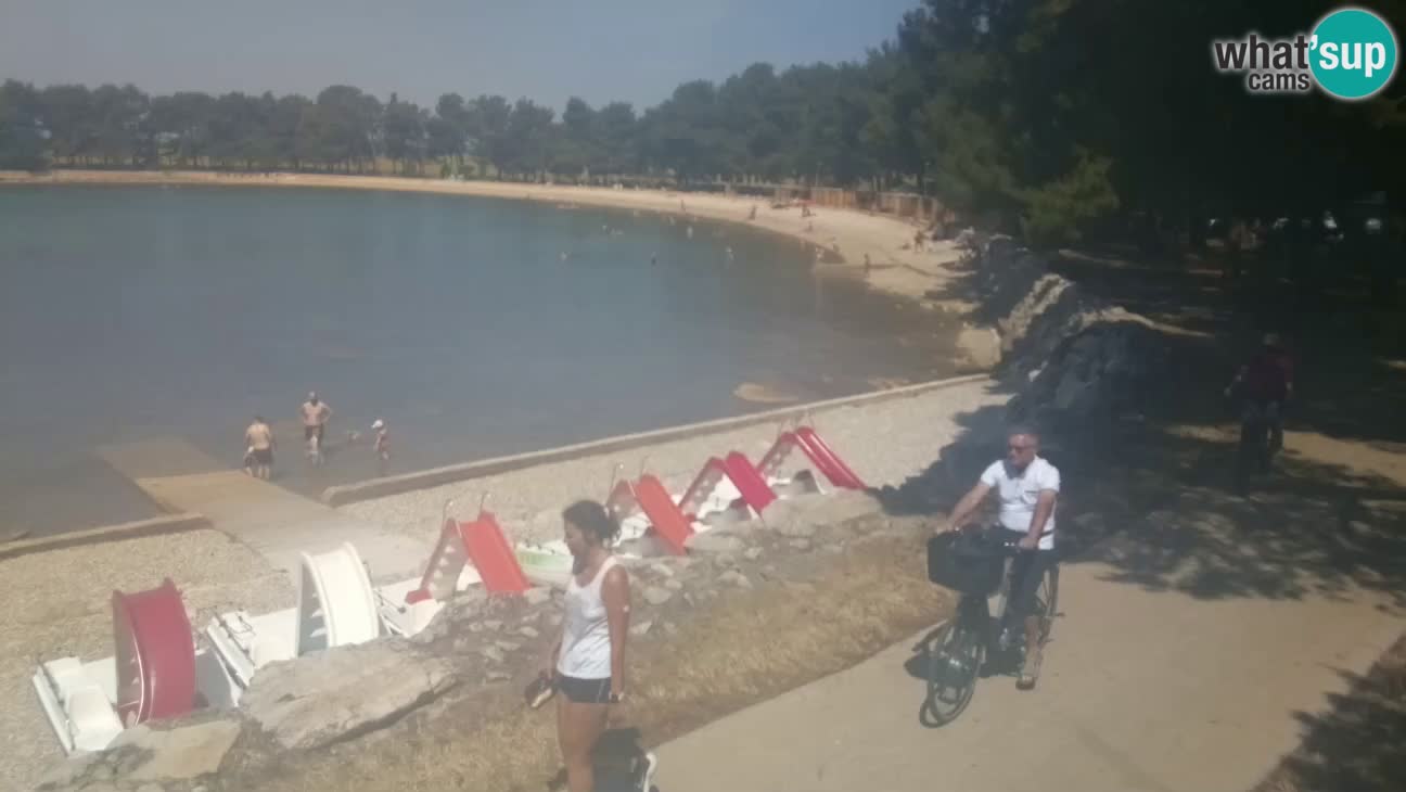 Novigrad live cam – Karpinjan beach