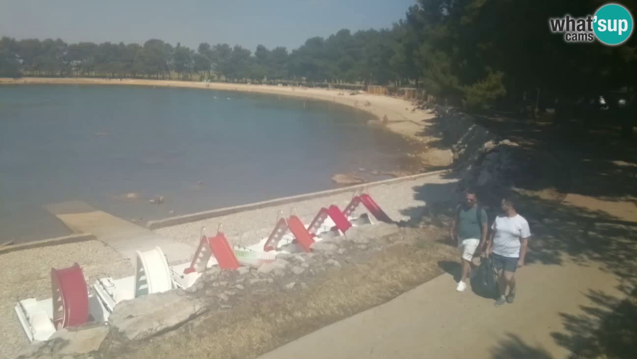 Novigrad live cam – Karpinjan beach