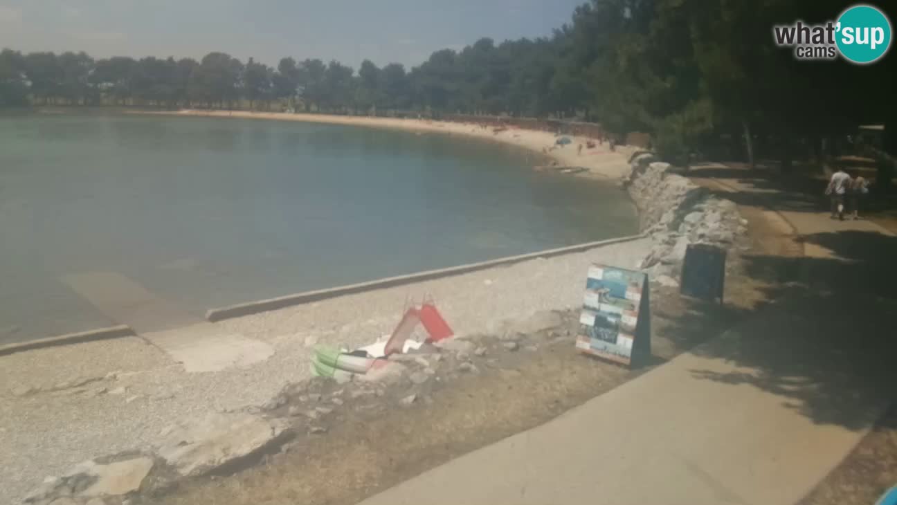 Novigrad live cam – Karpinjan beach