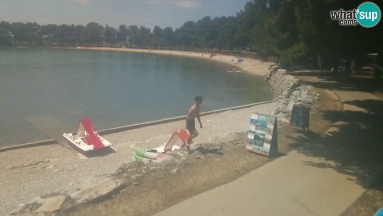 Novigrad – Playa Karpinjan