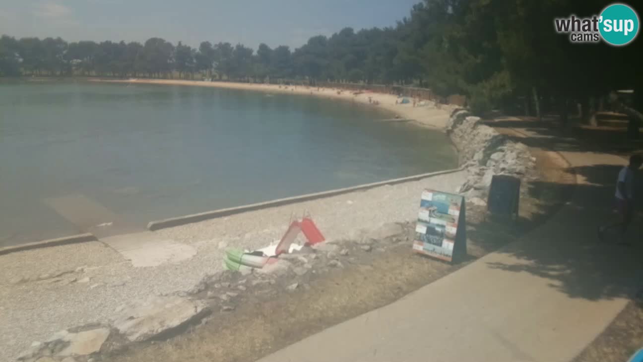 Novigrad live cam – Karpinjan beach