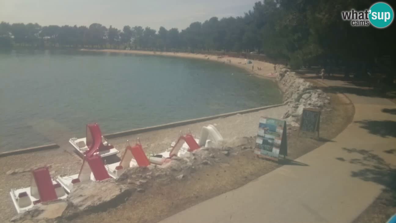 Novigrad – Strand Karpinjan webcam