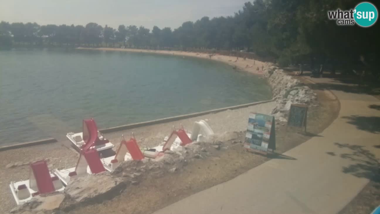 Novigrad – Strand Karpinjan webcam