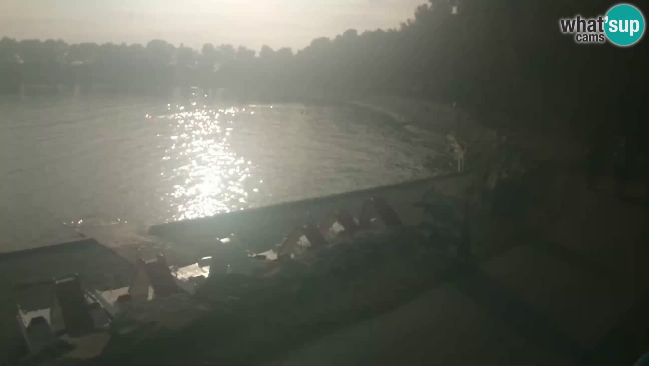 Novigrad live cam – Karpinjan beach