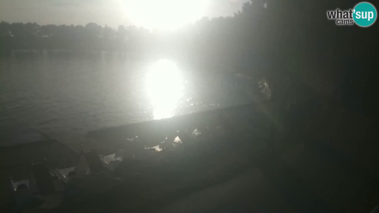 Novigrad live cam – Karpinjan beach