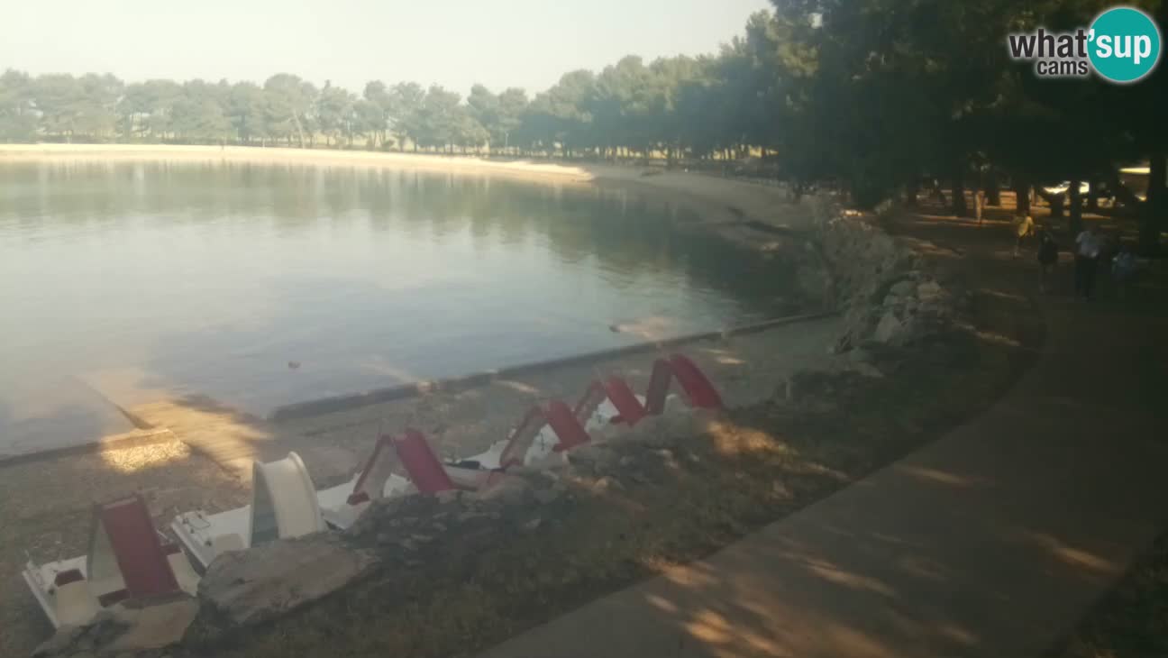 Novigrad live cam – Karpinjan beach