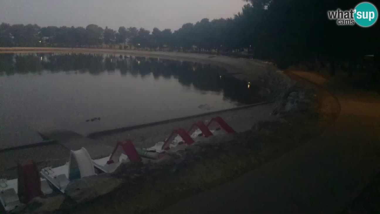 Novigrad – Strand Karpinjan webcam