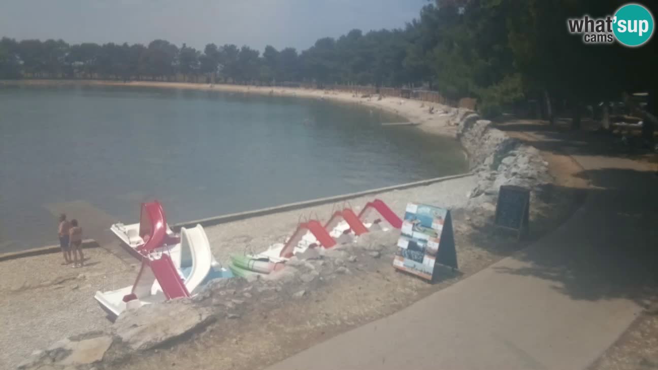 Novigrad – Playa Karpinjan