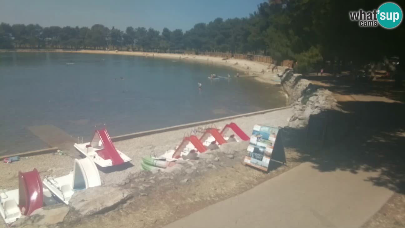 Novigrad live cam – Karpinjan beach