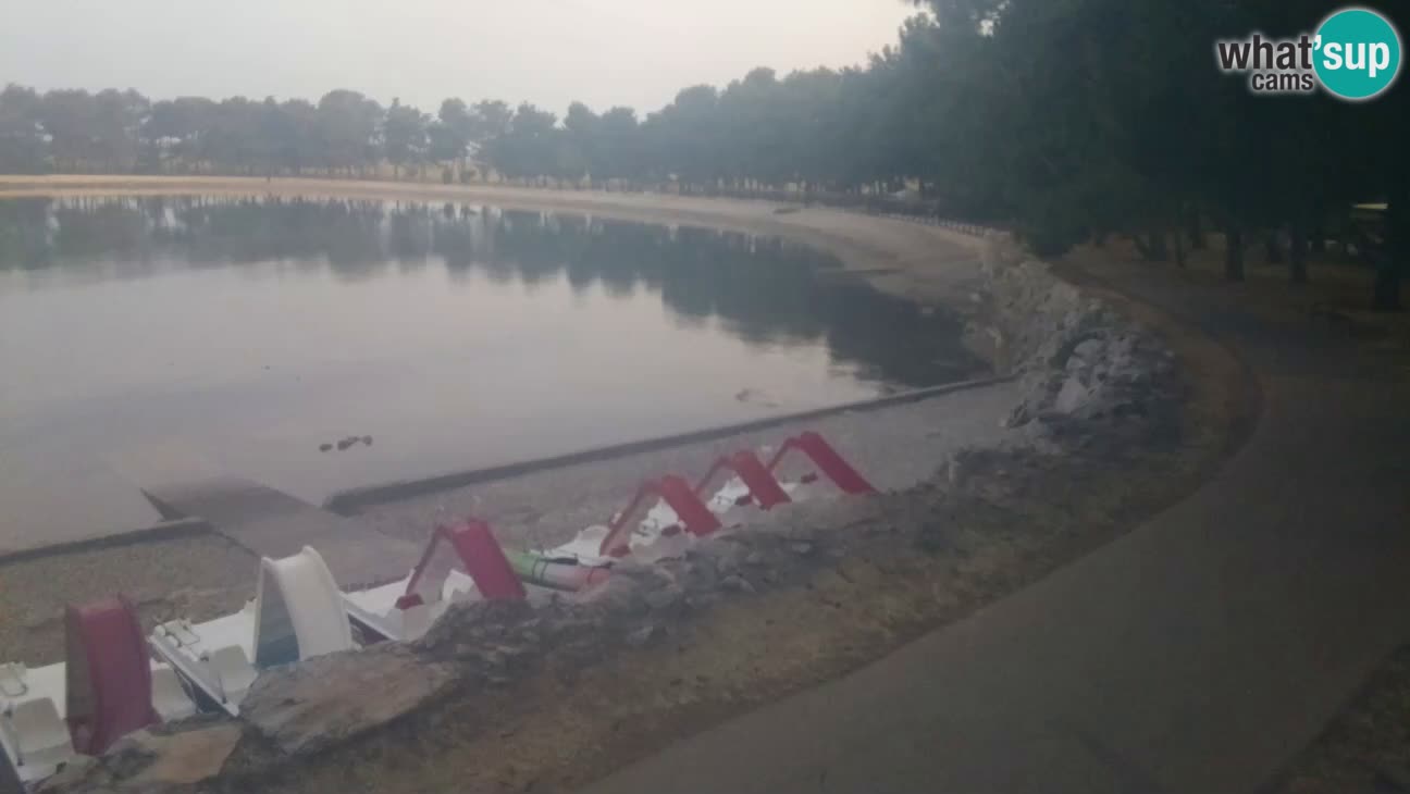 Novigrad live cam – Karpinjan beach
