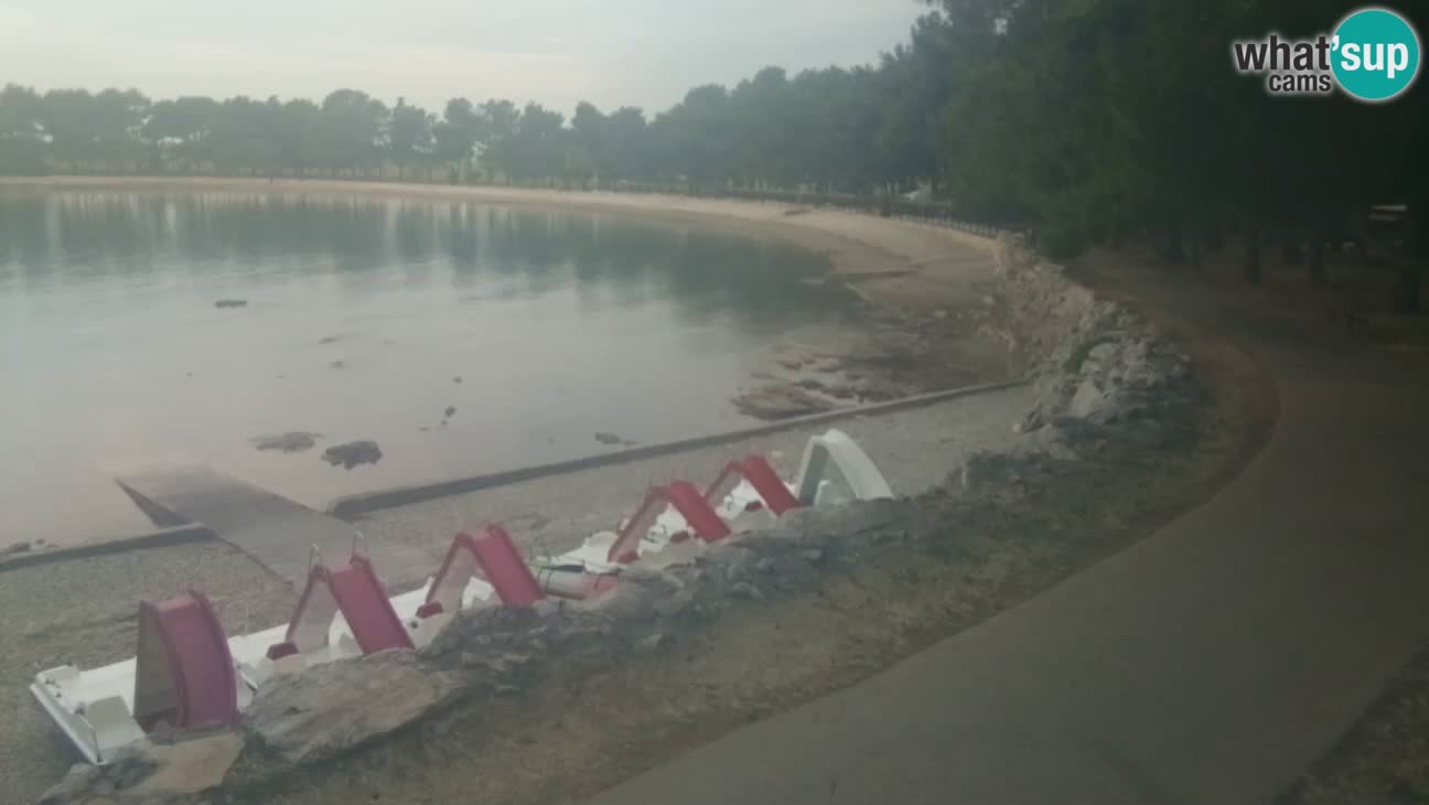 Novigrad live cam – Karpinjan beach